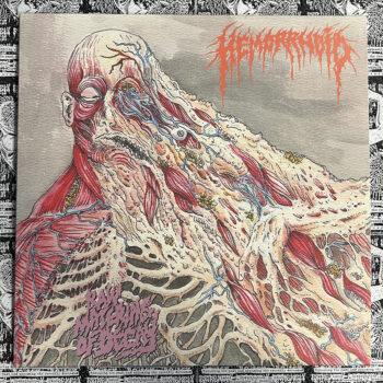 Hemorrhoid – Raw Materials of Decay LP