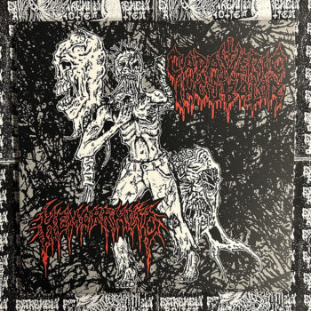 Cadaveric Incubator / Hemorrhoid – Split 7" Vinyl