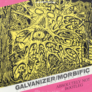 Galvanizer/Morbific - split LP