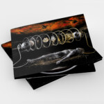 Qrixkuor - Zoetrope Digipak CD
