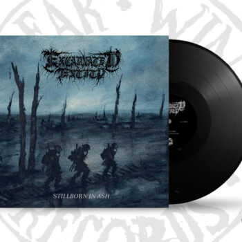 Excarnated Entity - Stillborn in Ash LP