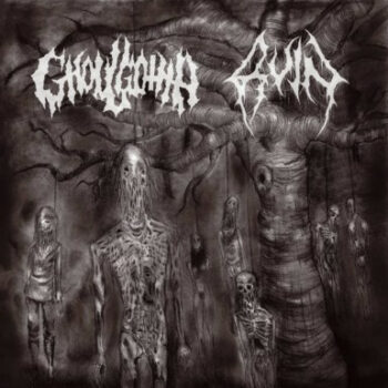 Ghoulgotha / Ruin – Churning in Vertebraes / Becoming Disease 7" Vinyl