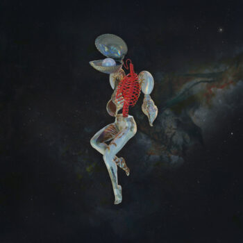 Hail Spirit Noir - Fossil Gardens CD