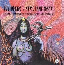 Tusmorke Vs. Spectral Haze - Elektriske SkrekkÃ¸gler...split LP