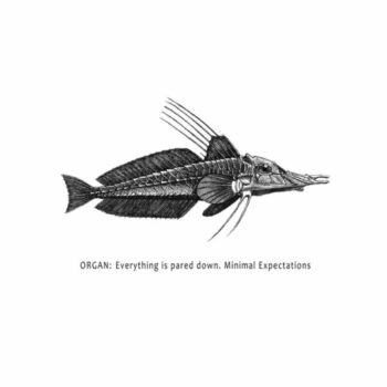 Organ - Everything is Pared Down. Minimal Expectations Digi CD