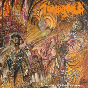 Tomb Mold - Manor of Infinite Forms pro tape