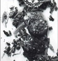 Celestia - Dead Insecta Sequestration CD