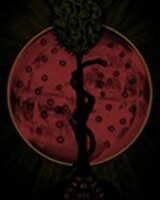 Blood Moon - Through the Scarlet Veil Digipak CD