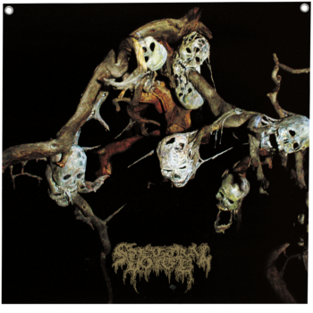 Spectral Voice - Sparagmos Poster Flag