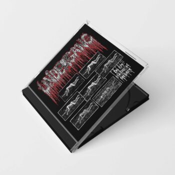 Undergang - De syv stadier af ford​æ​rv CD