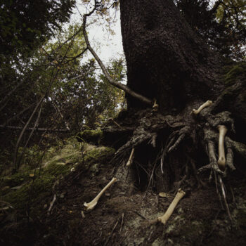 W.A.I.L. / Misantropical Painforest - Dare to Venture Down to Earth... Split LP
